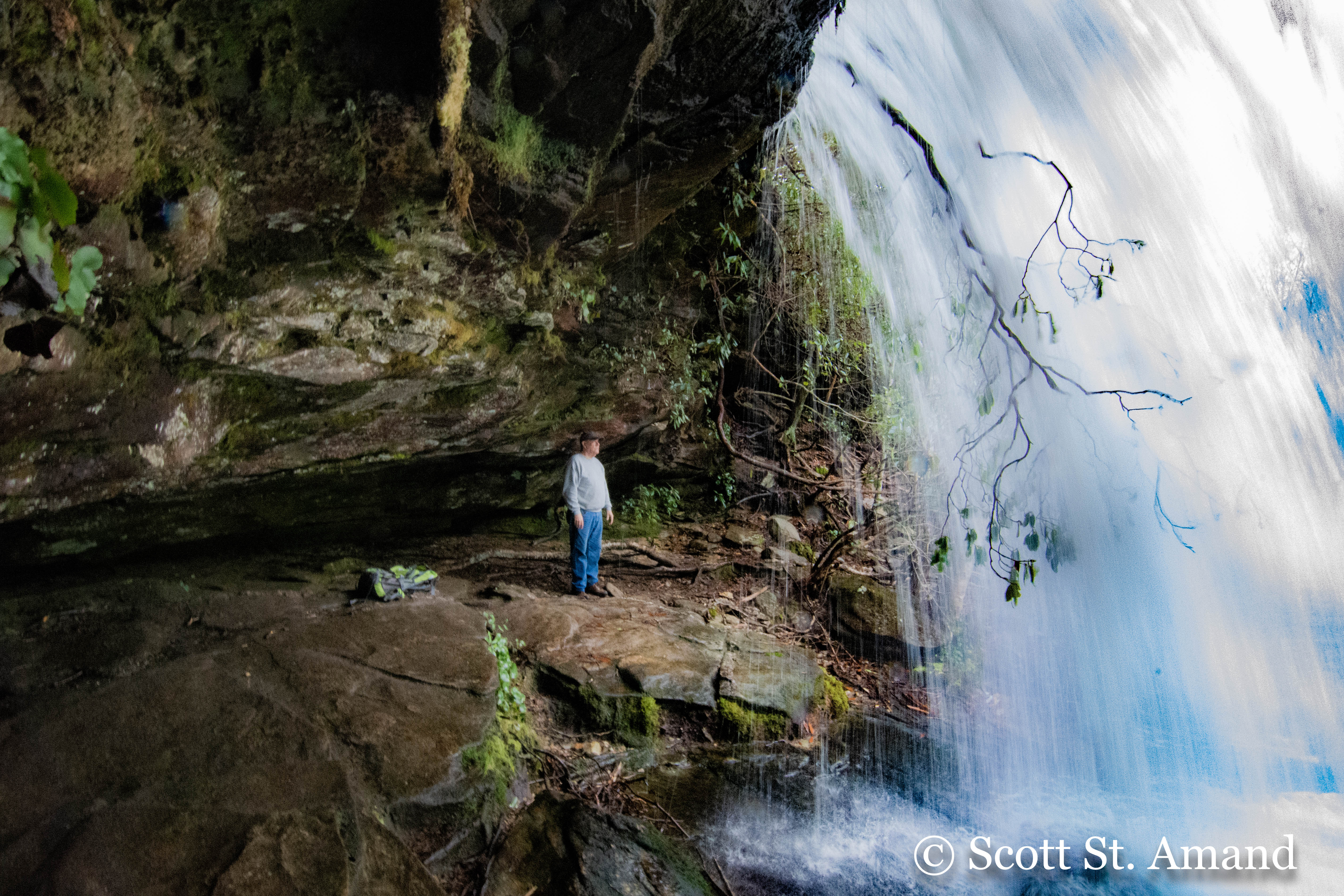 Panthertown Valley-57