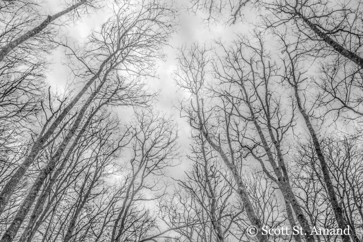 Panthertown Valley-6