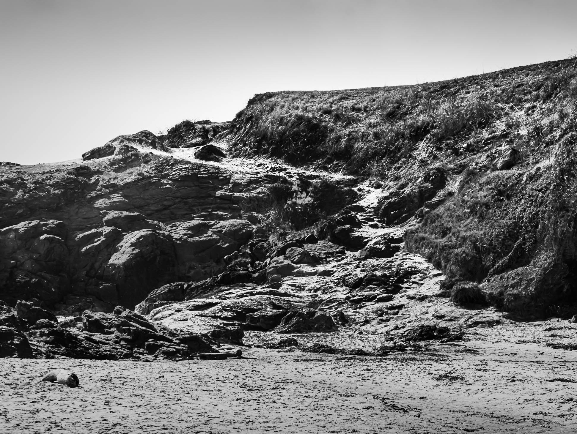 New Lightroom Edit-1