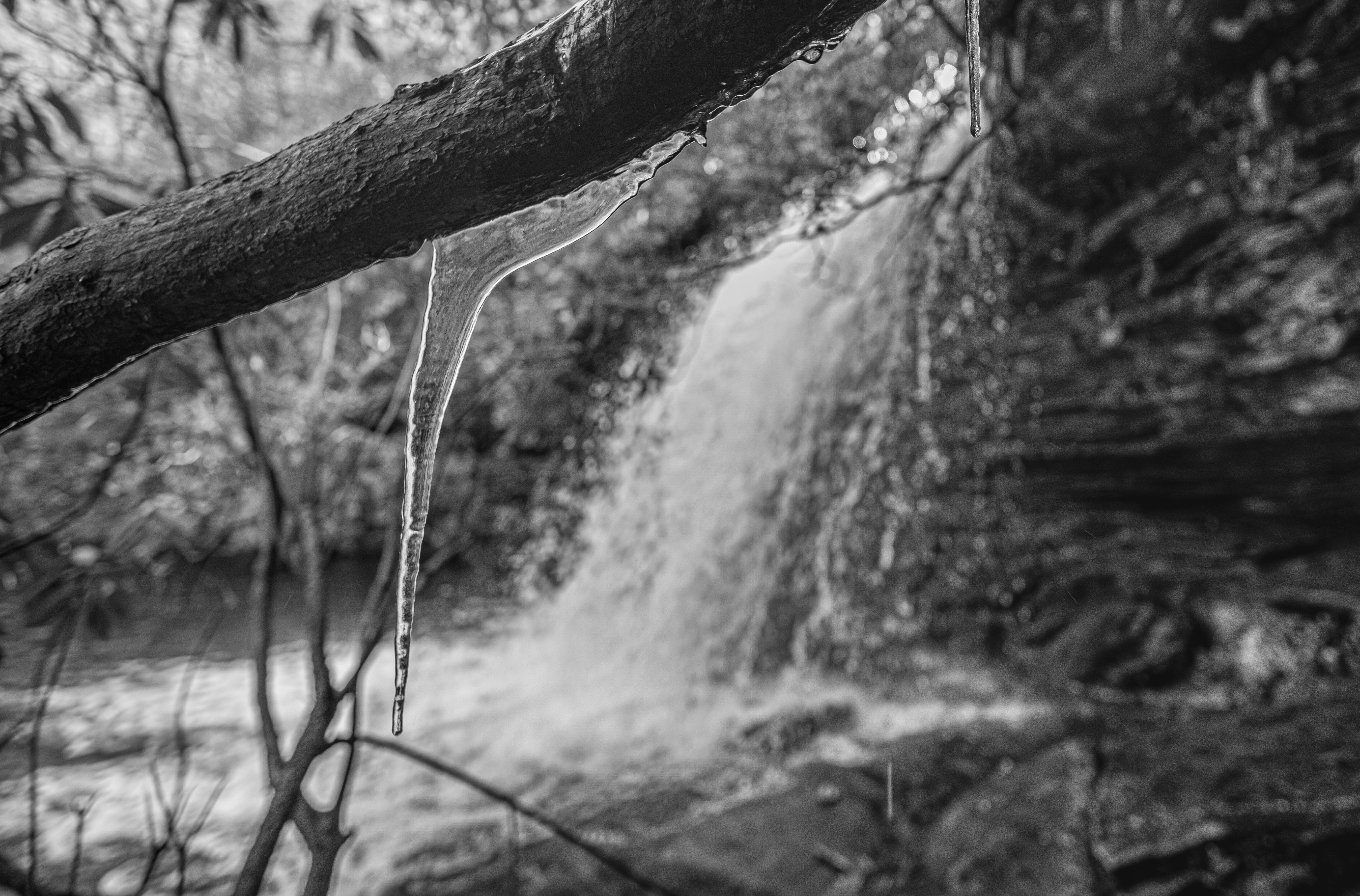 NC-Dec-Panthertown-12